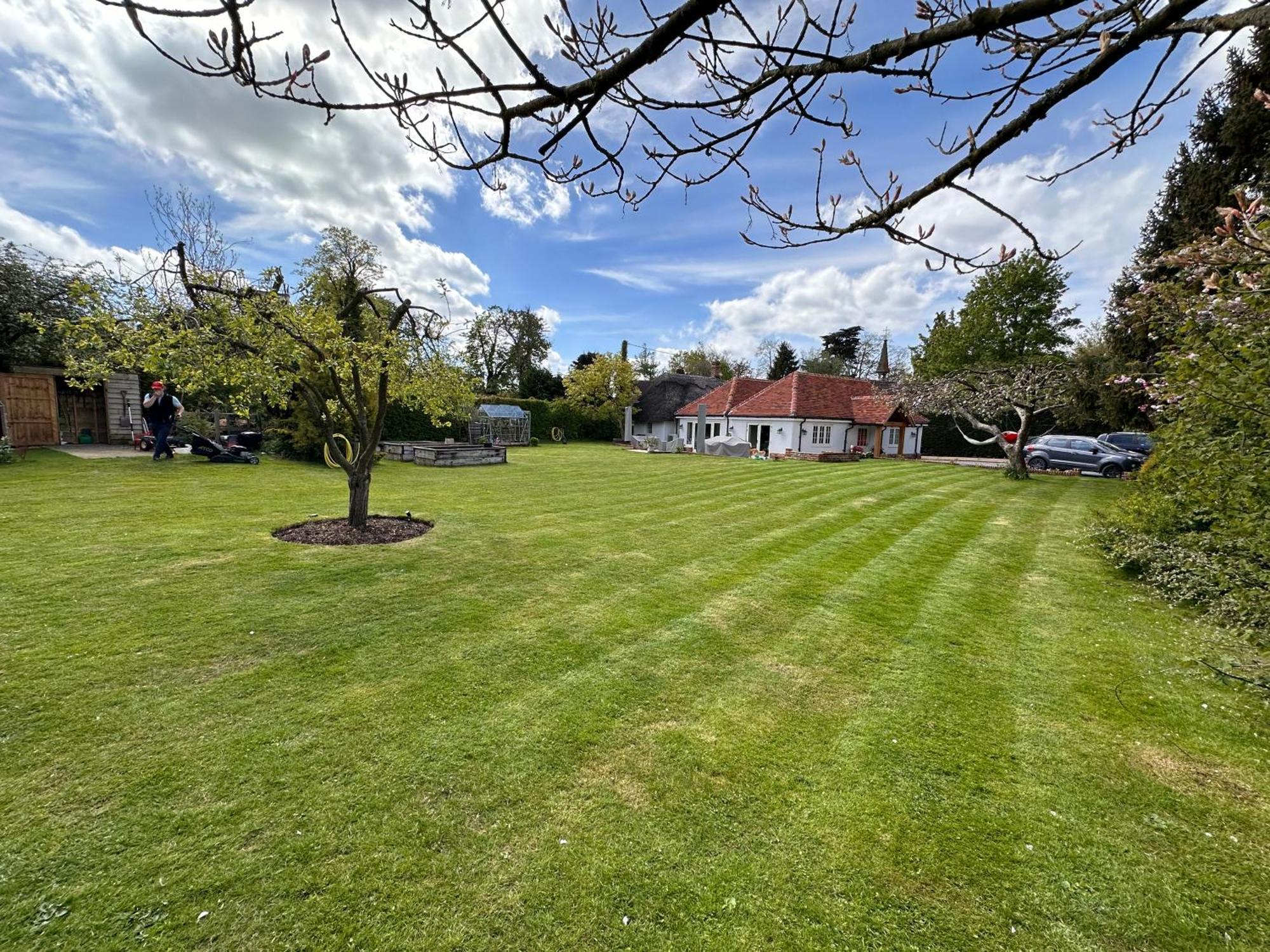 The Cottage Get Away Saffron Walden Exterior foto